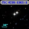 TYC 4238-1365-1