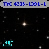 TYC 4238-1391-1