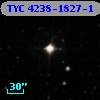 TYC 4238-1827-1