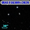 IRAS F16309+2028