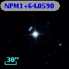 NPM1+64.0590