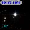 BD+67  1164