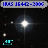 IRAS 16442+2006