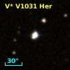 V* V1031 Her