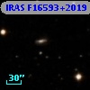 IRAS F16593+2019