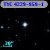 TYC 4229-858-1
