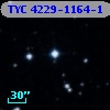 TYC 4229-1164-1