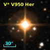 V* V950 Her