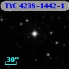 TYC 4238-1442-1