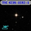 TYC 4238-1592-1
