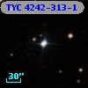 TYC 4242-313-1