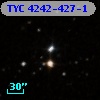 TYC 4242-427-1