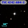 TYC 4242-604-1