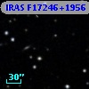 IRAS F17246+1956