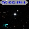 TYC 4242-978-1