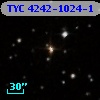 TYC 4242-1024-1