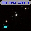 TYC 4242-1031-1