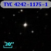 TYC 4242-1175-1