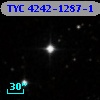 TYC 4242-1287-1
