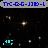TYC 4242-1309-1