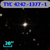 TYC 4242-1377-1