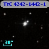 TYC 4242-1442-1