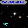TYC 4243-491-1