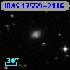 IRAS 17559+2116