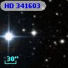 HD 341603
