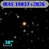 IRAS 18037+2026