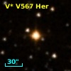 V* V567 Her