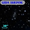 LEDA 1603896