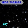 LEDA 2809836