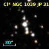 Cl* NGC 1039     JP      31