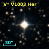 V* V1003 Her