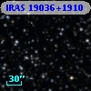 IRAS 19036+1910