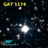 GAT 1174