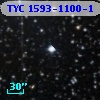 TYC 1593-1100-1