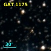 GAT 1175