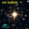 HD 349836