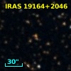 IRAS 19164+2046