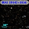 IRAS 19142+1836