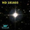 HD 181603