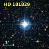 HD 181829