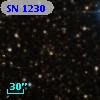 SN 1230