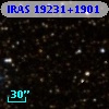 IRAS 19231+1901