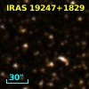 IRAS 19247+1829