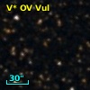 V* OV Vul