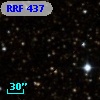 RRF  437