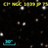 Cl* NGC 1039     JP      75